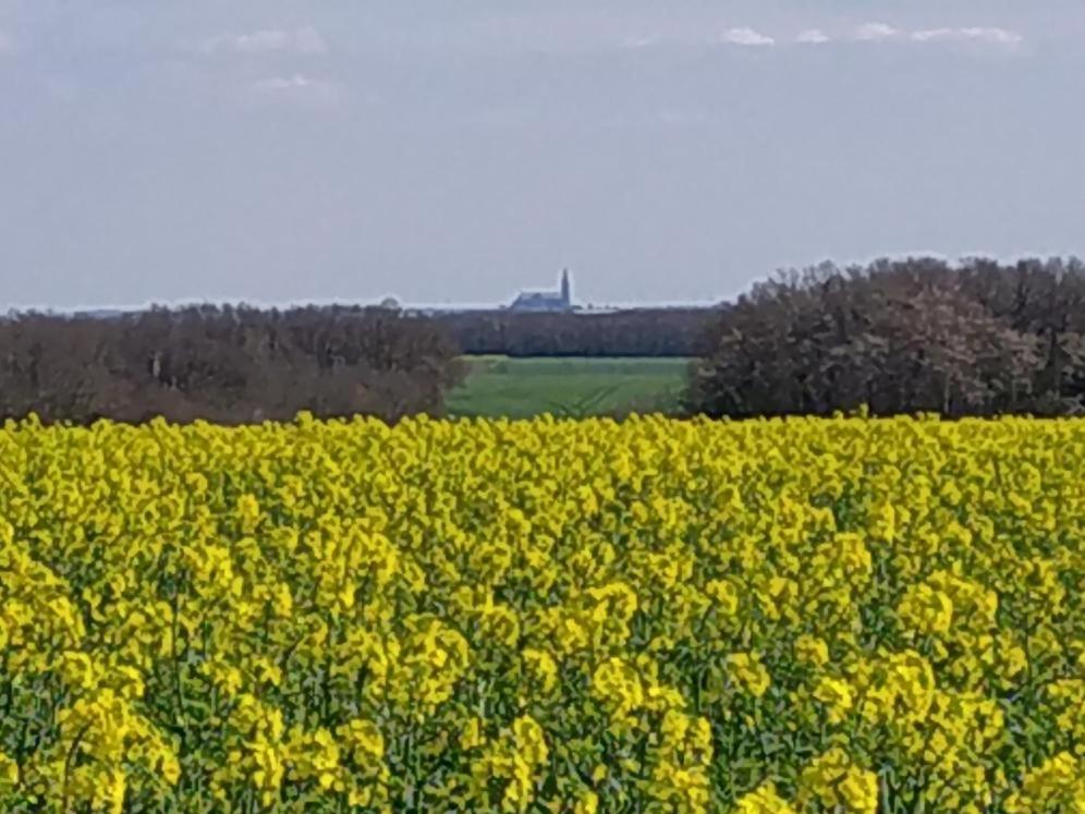 Gite De La Petite Forge Clevilliers Bagian luar foto